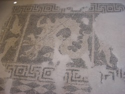 Scylla: Paphos Mosaic Series
